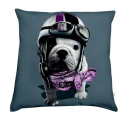 voir tous les coussins