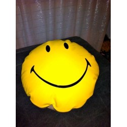 voir tous les coussins