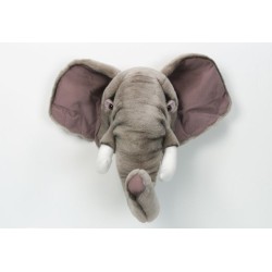 voir tout nos modèles