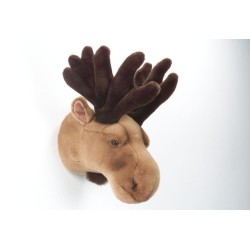 voir tout nos modèles