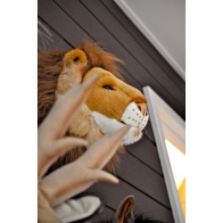 voir tout nos modèles