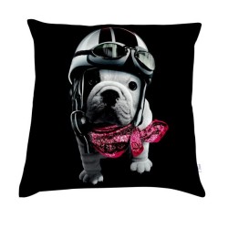 voir tous les coussins