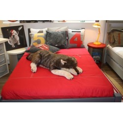 voir tous les coussins