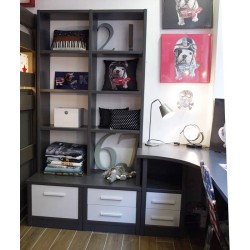 Bibliothèque Diane sur mesure