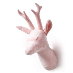 voir tout nos modèles