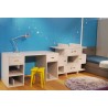 Bureau Pop sur mesure